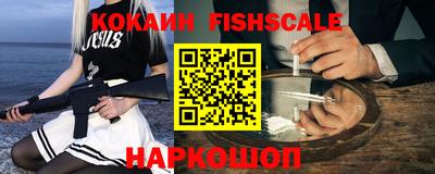 крисы Кулебаки