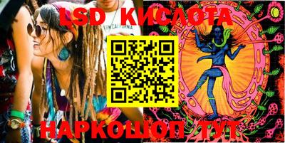 крисы Кулебаки
