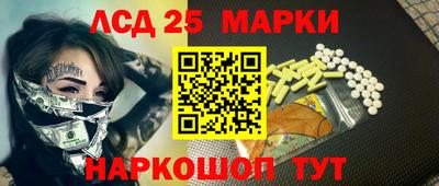 крисы Кулебаки