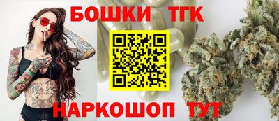 крисы Кулебаки