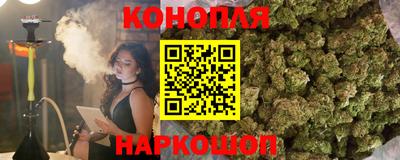 крисы Кулебаки