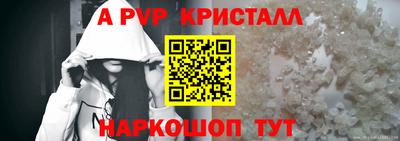 крисы Кулебаки
